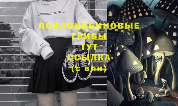 дурь Верея