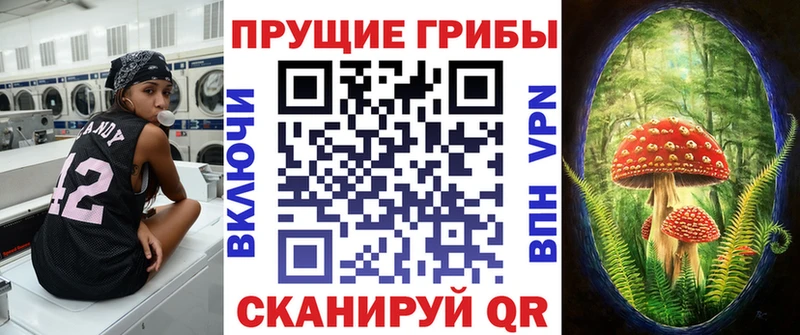 купить   Раменское  Псилоцибиновые грибы MAGIC MUSHROOMS 